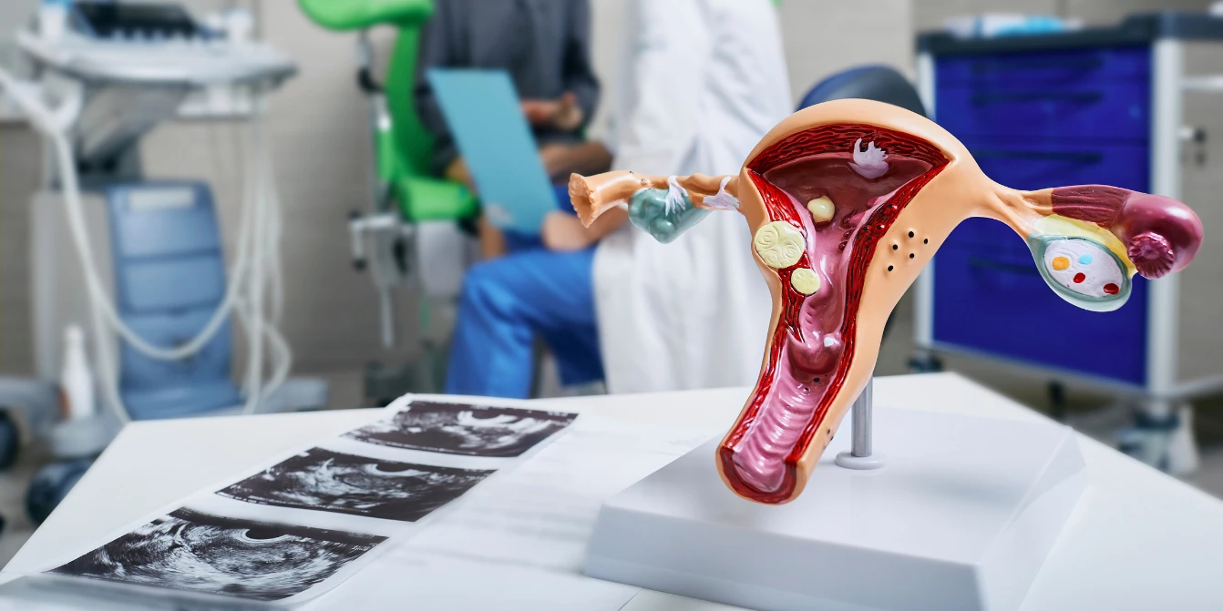 C:\fakepath\Image 27.jpg